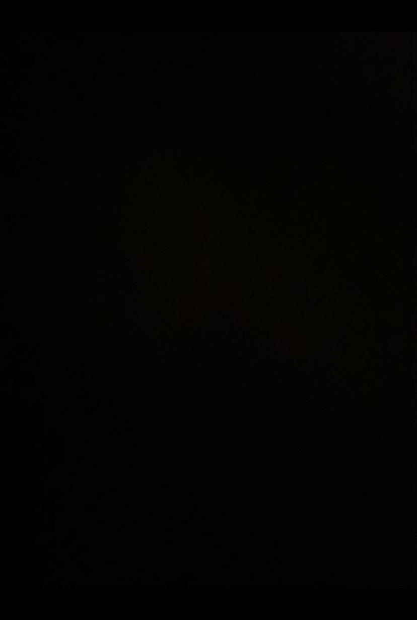 Stål regler 3000x120